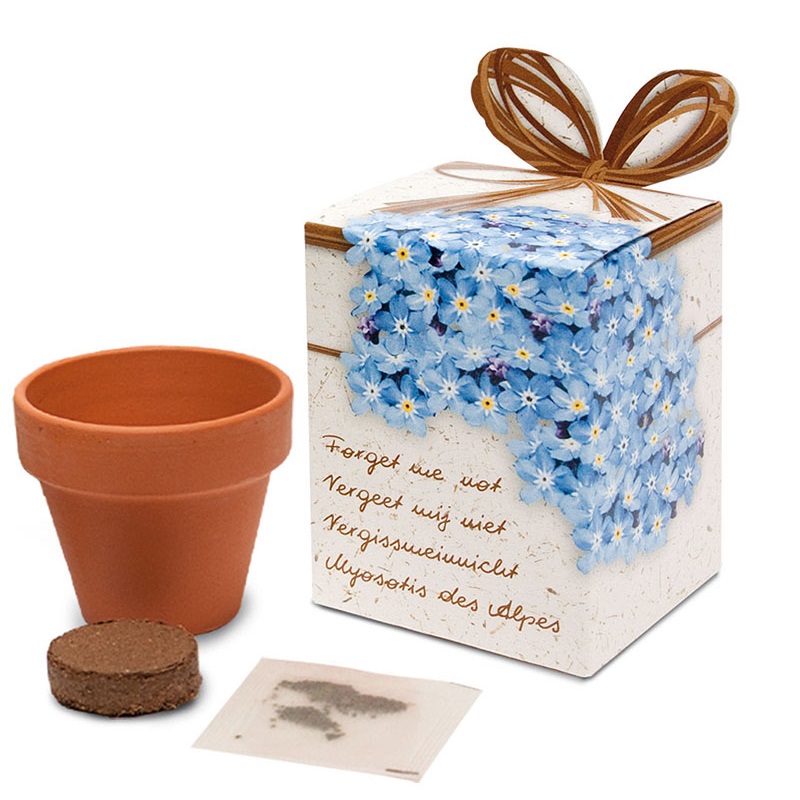Flower in pot - Gift box | Eco gift